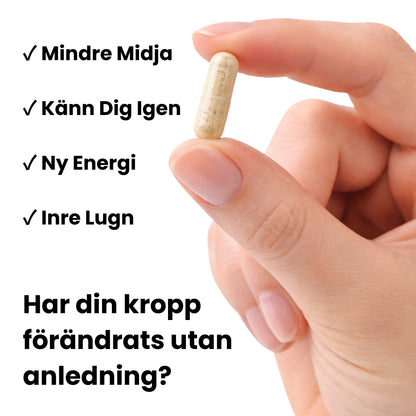 MetaBalance™ - Reset